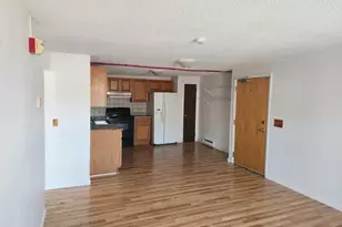 30 Beech St, Bristol, NH 03222 - Photo 13