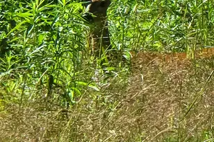 82 Hodge Hill Rd, Lisbon, NH 03585 - Photo 37