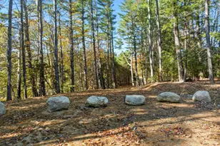 115 Adams Farm Rd, Thornton, NH 03285 - Photo 1