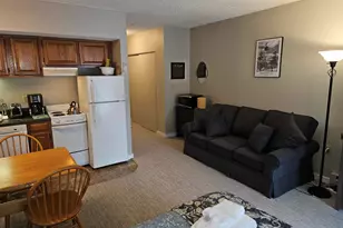 36 Lodge Rd, Lincoln, NH 03251 - Photo 5