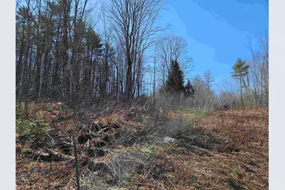 324 Crane Hill Road, Sugar Hill, NH 03486 - Photo 57