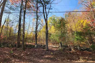 427 Shaker Rd, Loudon, NH 03307 - Photo 1