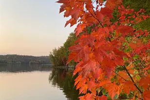 3 Trillium Ln, Grantham, NH 03753 - Photo 45