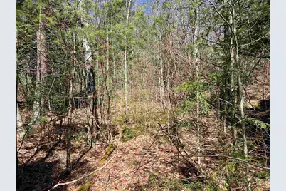 Roby Road, Sutton, NH 03273 - Photo 9