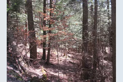 0 Stratton View Road #59, Winhall, VT 05340 - Photo 3