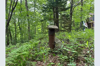 00 Ice Pond Road, Chittenden, VT 05763 - Photo 3