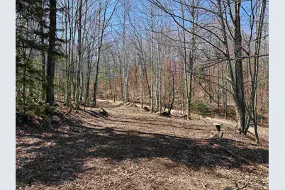 00 Ice Pond Road, Chittenden, VT 05763 - Photo 33