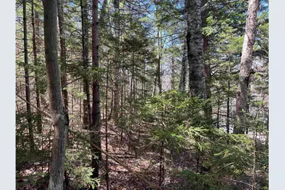 5-16-19 Boulder Drive, Campton, NH 03223 - Photo 3