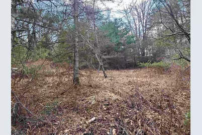 00 Hodge Hill Road #58, Lisbon, NH 03585 - Photo 5
