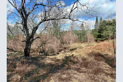 000 Hodge Hill Road #59, Lisbon, NH 03585 - Photo 1