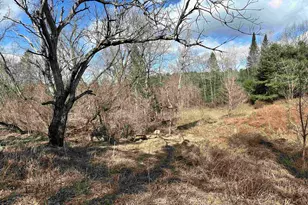 000 Hodge Hill Rd, Lisbon, NH 03585 - Photo 1