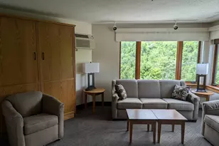 90 Loon Mountain Rd, Lincoln, NH 03251 - Photo 13