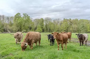 55-56 Whitehouse Rd, Loudon, NH 03307 - Photo 41