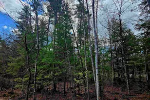 Lot 10 Bay Rd, Farmington, NH 03835 - Photo 7