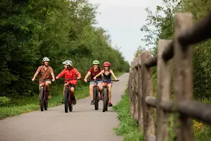 243 Skimobile Rd, Conway, NH 03860 - Photo 51