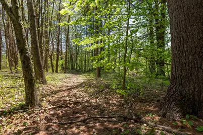 Rowell Drive, Franklin, NH 03235 - Photo 13