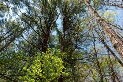 Rowell Drive, Franklin, NH 03235 - Photo 23