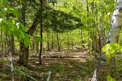 Rowell Drive, Franklin, NH 03235 - Photo 21