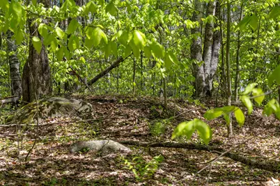 Rowell Drive, Franklin, NH 03235 - Photo 17