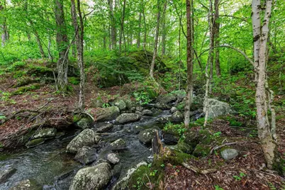 138 Miller Drive, Nelson, NH 03457 - Photo 41