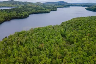 138 Miller Dr, Nelson, NH 03457 - Photo 33