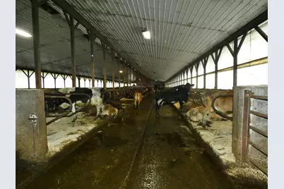 3604 Vt Route 111, Morgan, VT 05853 - Photo 29