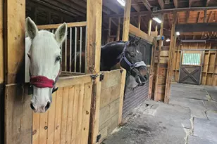 436 Mammoth Rd, Pelham, NH 03076 - Photo 41