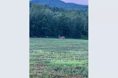 Map 7 Lot 1, 298 Battle Street, Webster, NH 03303 - Photo 1