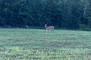 Map 7 Lot 1 298 Battle St, Webster, NH 03303 - Photo 1