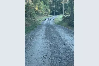 Map 7 Lot 1, 298 Battle Street, Webster, NH 03303 - Photo 25