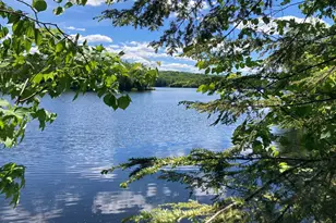 54 Black Duck Spur, Grantham, NH 03753 - Photo 29