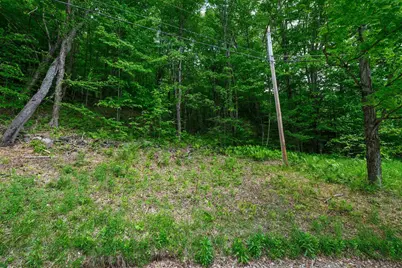 0 East Ash Road, Plymouth, VT 05056 - Photo 7