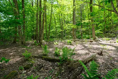 0 Route 100 N, Plymouth, VT 05056 - Photo 11