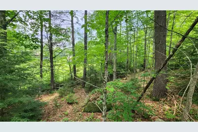 175 Valley Road, New Durham, NH 03855 - Photo 11