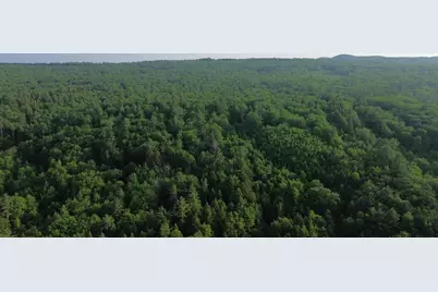 175 Valley Road, New Durham, NH 03855 - Photo 15