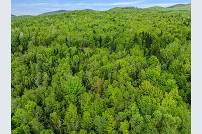 Lot 7 Off US Route 3, Columbia, NH 03576 - Photo 7