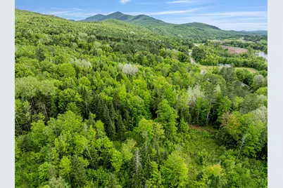 Lot 7 Off US Route 3, Columbia, NH 03576 - Photo 13