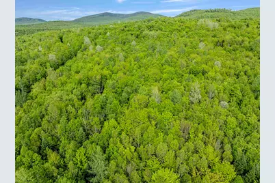 Lot 9 Off US Route 3, Columbia, NH 03576 - Photo 5