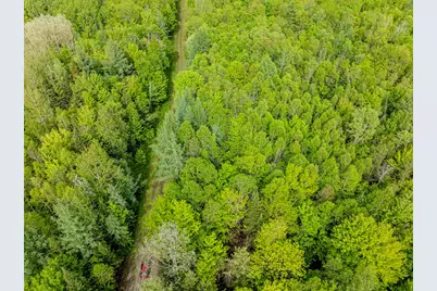 Lot 9 Off US Route 3, Columbia, NH 03576 - Photo 3