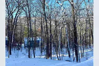 262 Beechnut Drive, Conway, NH 03860 - Photo 3