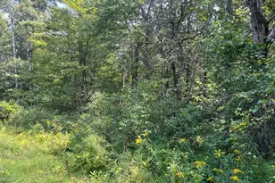 0 Manchester Dr, Lebanon, NH 03766 - Photo 1