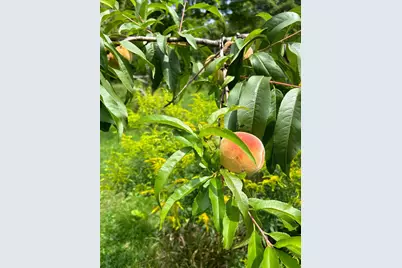 428 North Road, Salisbury, NH 03268 - Photo 49