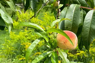 428 N Rd, Salisbury, NH 03268 - Photo 49