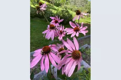 428 North Road, Salisbury, NH 03268 - Photo 51