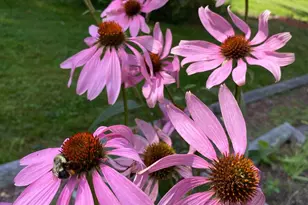 428 N Rd, Salisbury, NH 03268 - Photo 51