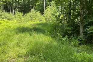 961 Maple St, Bethlehem, NH 03574 - Photo 1