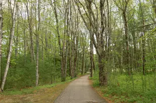 9 Sargent Pl, Gilford, NH 03249 - Photo 47