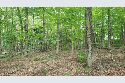 46-2 &amp; 47 Route 153, Middleton, NH 03887 - Photo 1