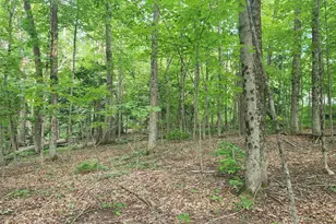 46-2 &amp 47 Route 153, Middleton, NH 03887 - Photo 1