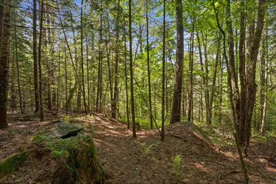 11 Old County Road, Landgrove, VT 05148 - Photo 9